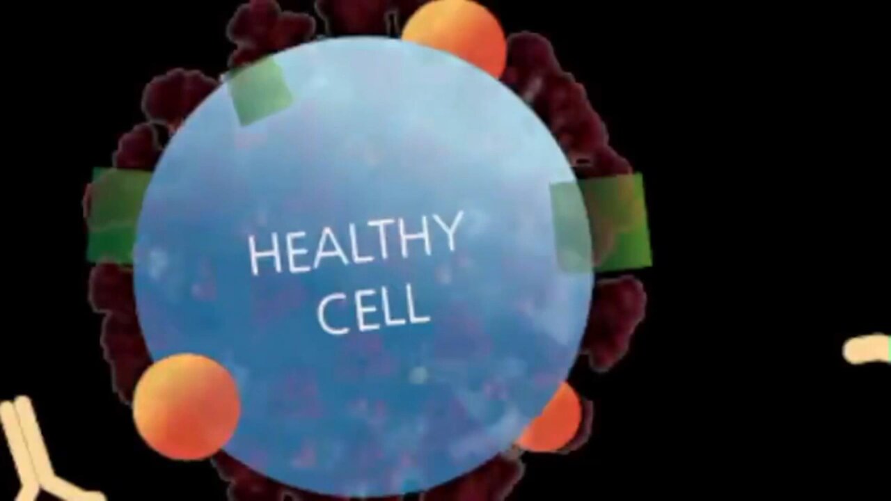VIROLOGY EXPLAINED IN 19 MINUTES.