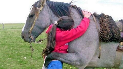 Animal love can Cure Your Depression ❤️ Best Animal Show Love Moments