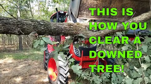 Friday Farm Vlog Push yourself to succeed. Downed tree? No problem...