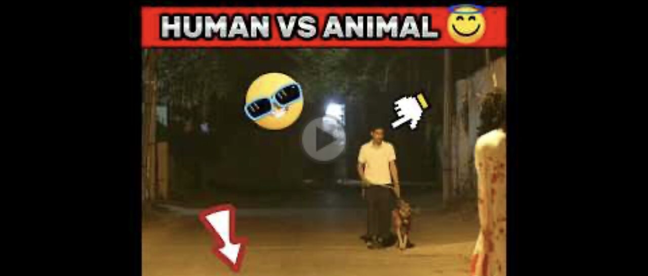 POV--HUMAN VS ANIMAL 👊👻-- hanuman - #hanu