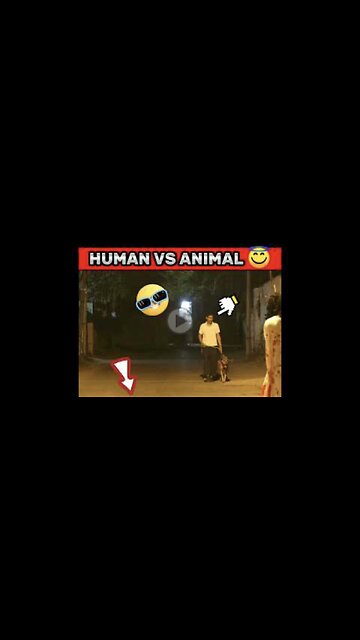 POV--HUMAN VS ANIMAL 👊👻-- hanuman - #hanu