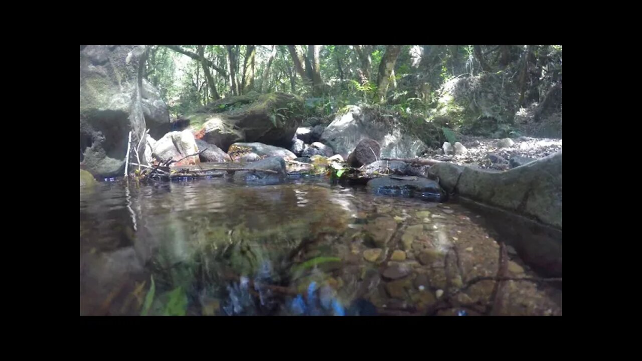 Música para Meditar e Relaxar - Ajuda a Tranquilizar e a Equilibrar as Energias