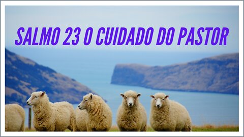 PSALM 23: THE CARE OF THE SHEPHERD.