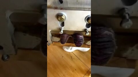 afraid to cut your hand #SHORTS