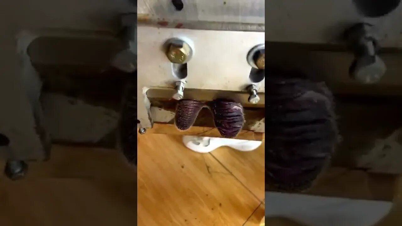 afraid to cut your hand #SHORTS