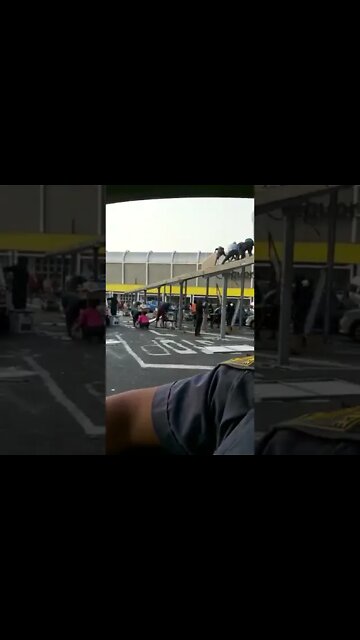 SA Riots ( looters removing solar panels )