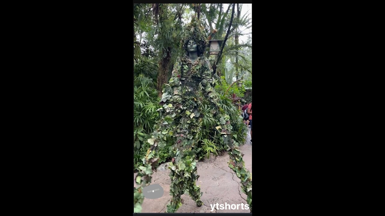 Beautiful lady became a tree among the tree.Watch Till End & Enjoy.
