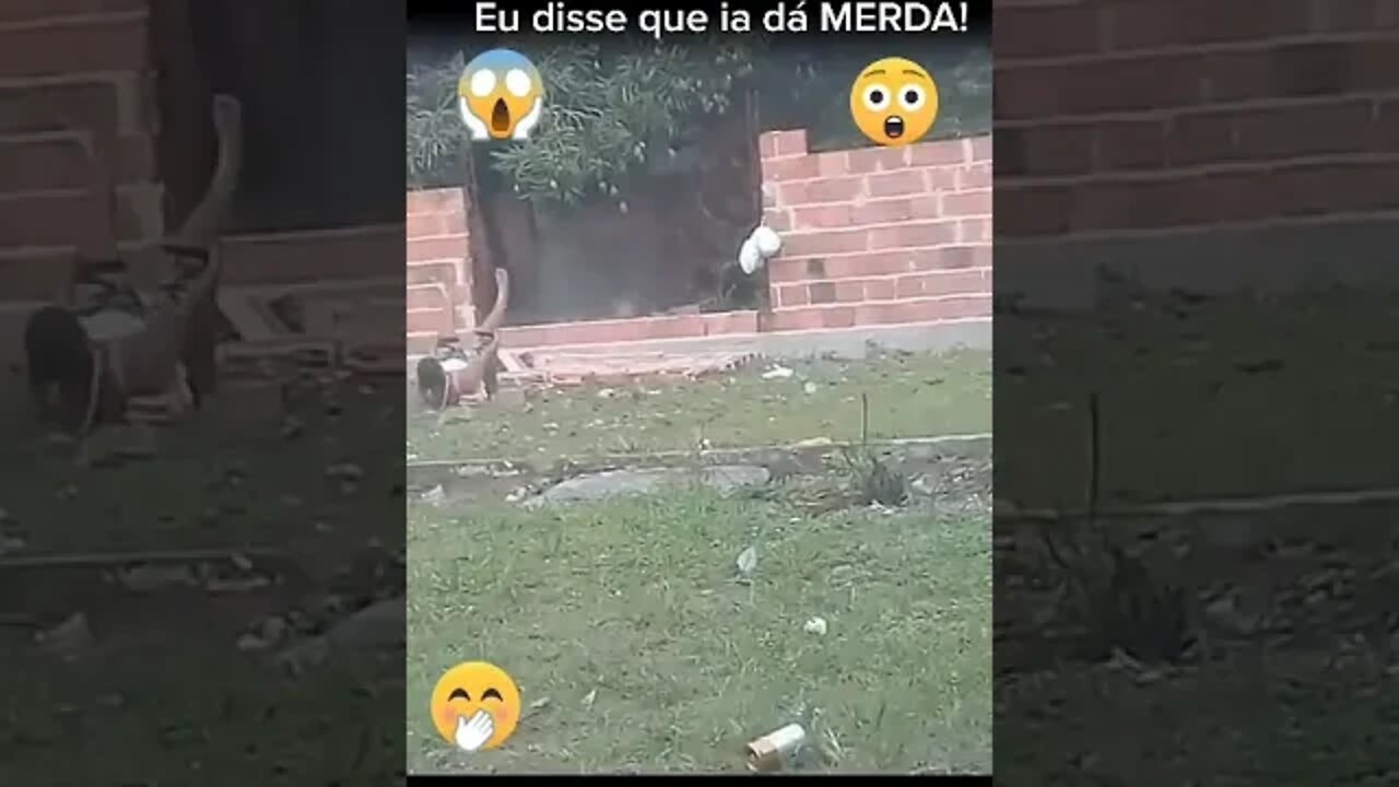 EU DISSE QUE IA DA MERDA !!! DEU MERDA EU AVISEI !!! VAI DA MERDA VAI ( MEME ) ( VIRAL ) ENGRAÇADO