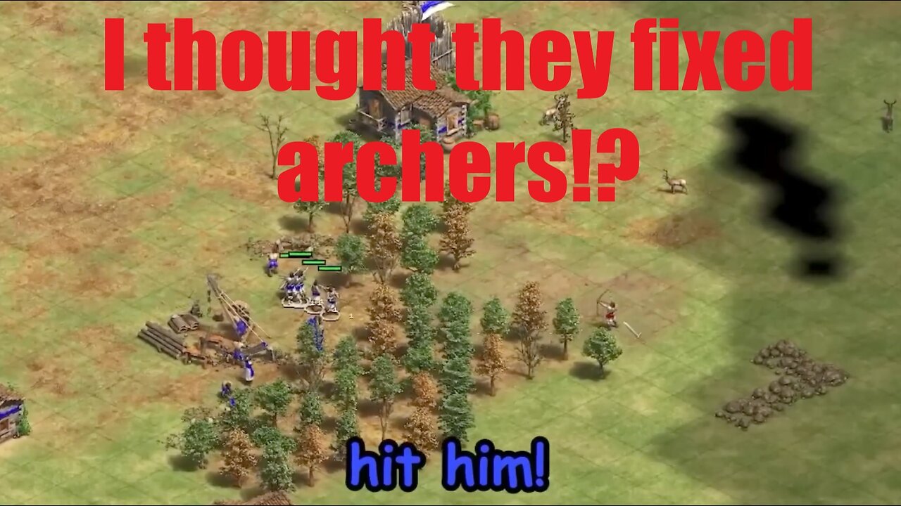 Archer bug after the new patch?