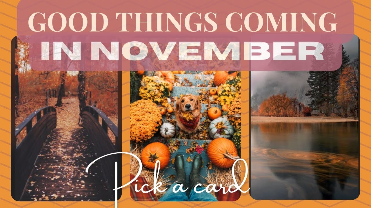 WHAT GOOD THINGS ARE HAPPENING FOR YOU IN NOVEMBER? 🍁| Pick a card #tarot