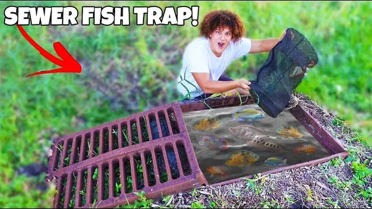 SEWER Fish TRAP Catches EXOTIC AQUARIUM FISH!
