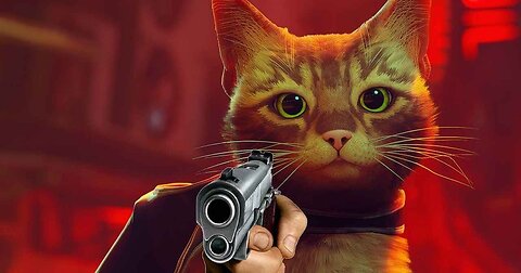 Cat & Gun(toy) Compilation (Funny Animals)