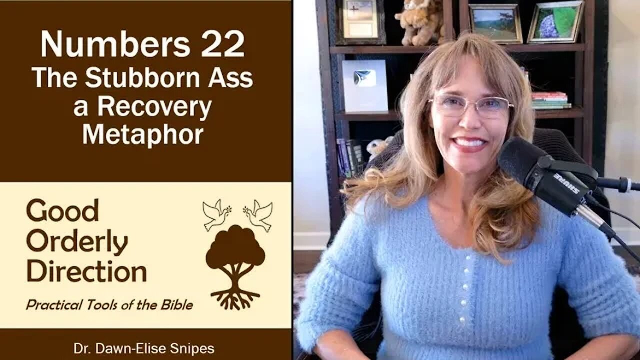 A Recovery Metaphor: The Talking Donkey | Numbers 22 Bible Study