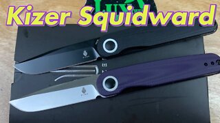 Kizer Squidward front flipper. Crazy drop shut action budget discreet carry EDC !