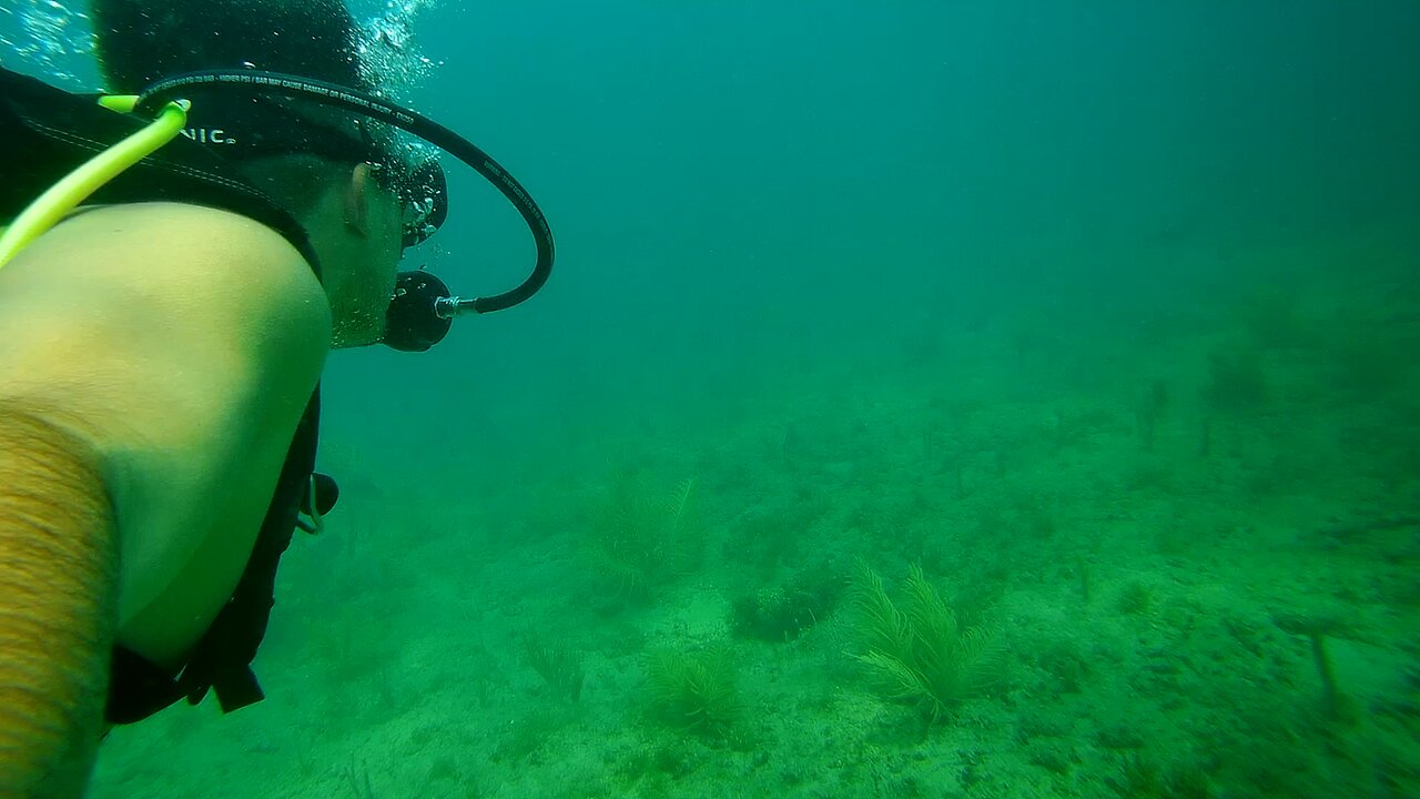 *RAW* Unedited Scuba Diving