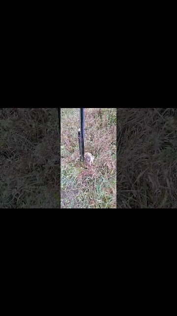 Cooking in times of supply shortage