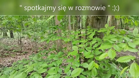 " spotkajmy się w rozmowie " :):)