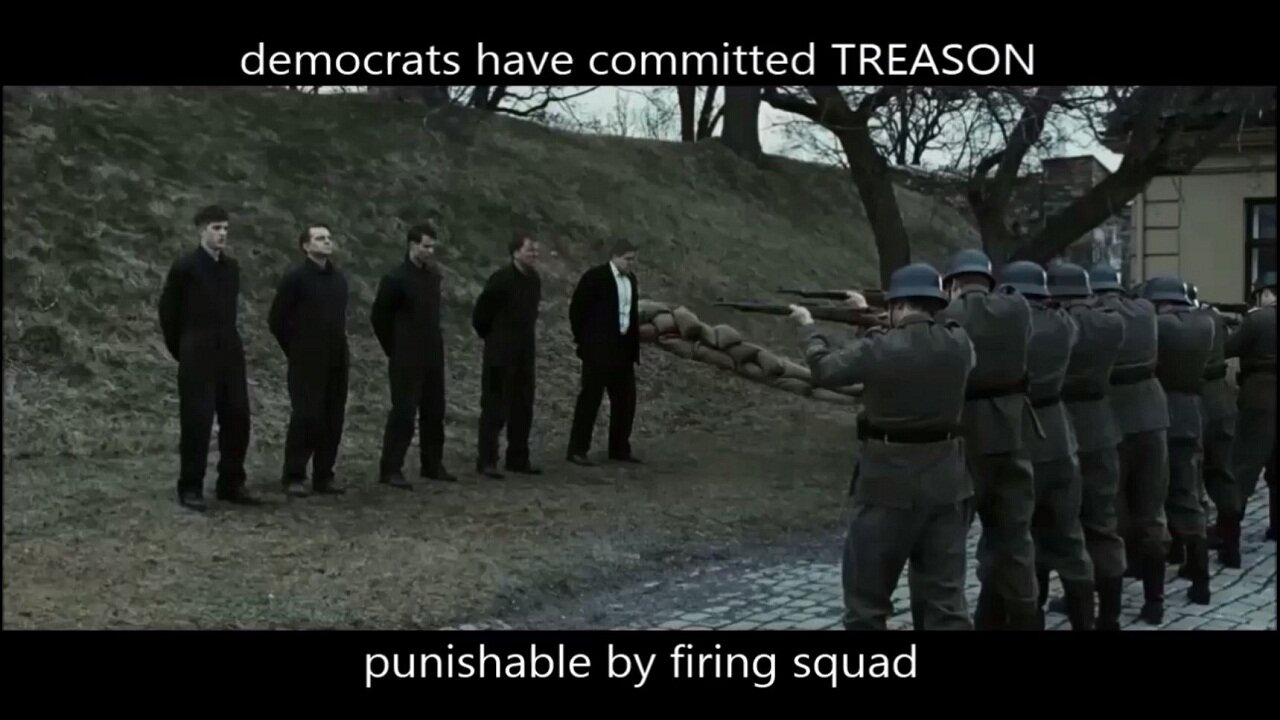 democrats have committed TREASON - punishable by firing squad