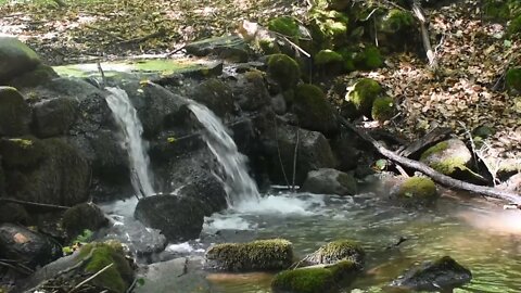 Stream sounds for relaxation and sleep. Sounds of water. Forest stream.