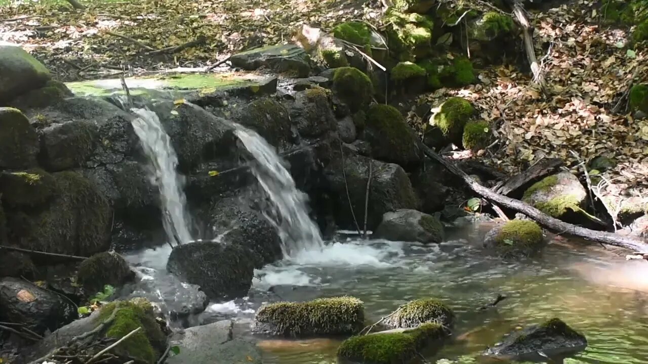 Stream sounds for relaxation and sleep. Sounds of water. Forest stream.