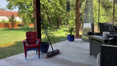 Just Hanging with the Dogs.