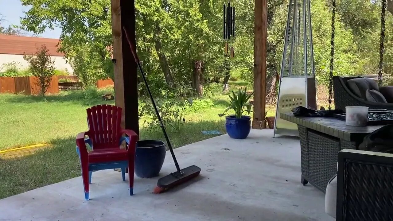 Just Hanging with the Dogs.