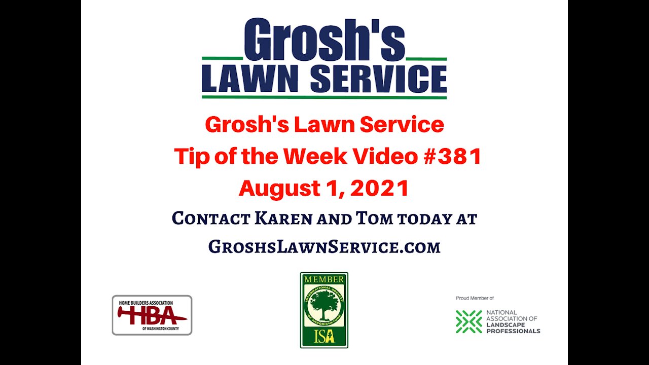 Landscaping Lawn Service Martinsburg WV Video