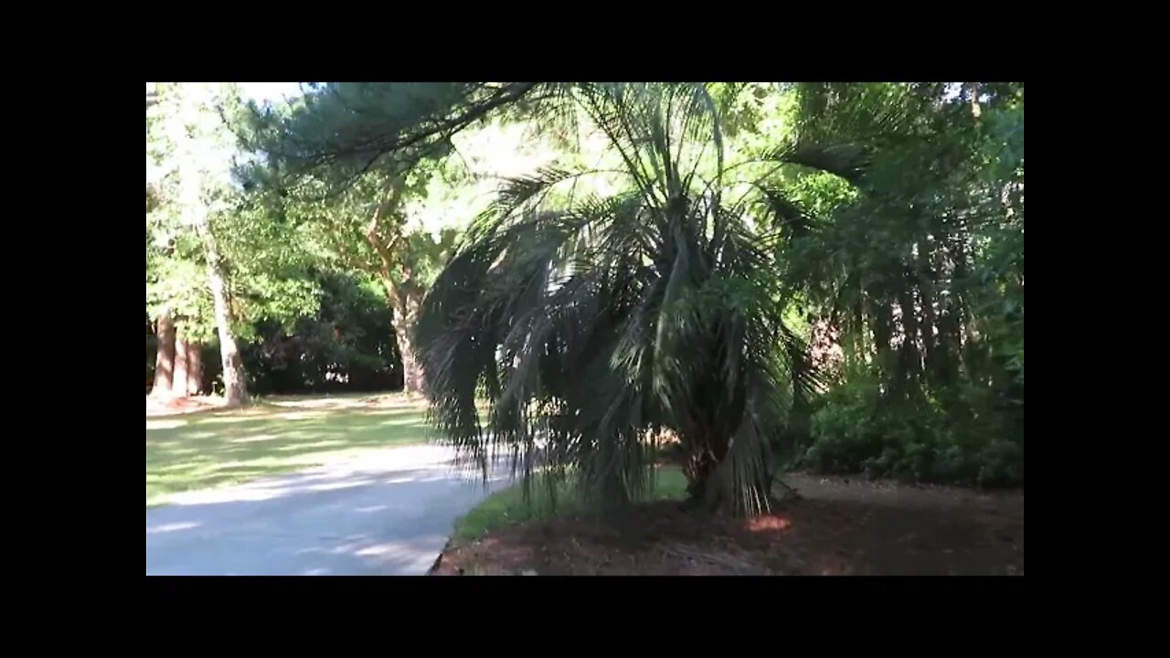 Ever walk through neighborhoods and pray for the people? Walk with me while I do in Charleston, SC
