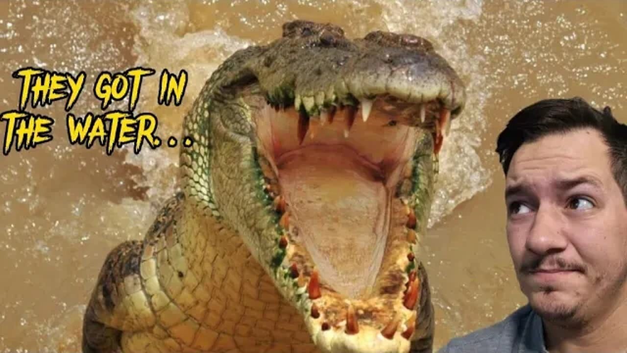 Crocodile attack leads to being sued??