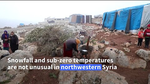 Syrian Climate Refugees