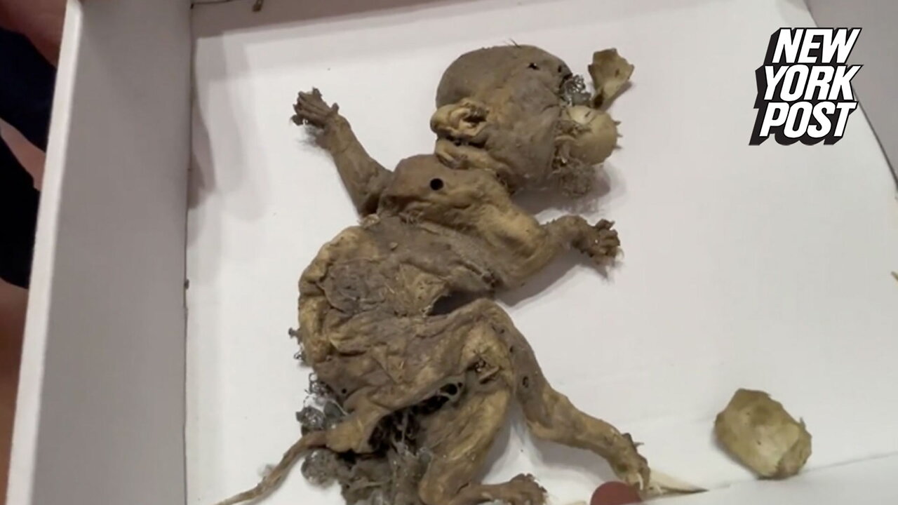 Goblin fetus found in disused warehouse, claims local mayor