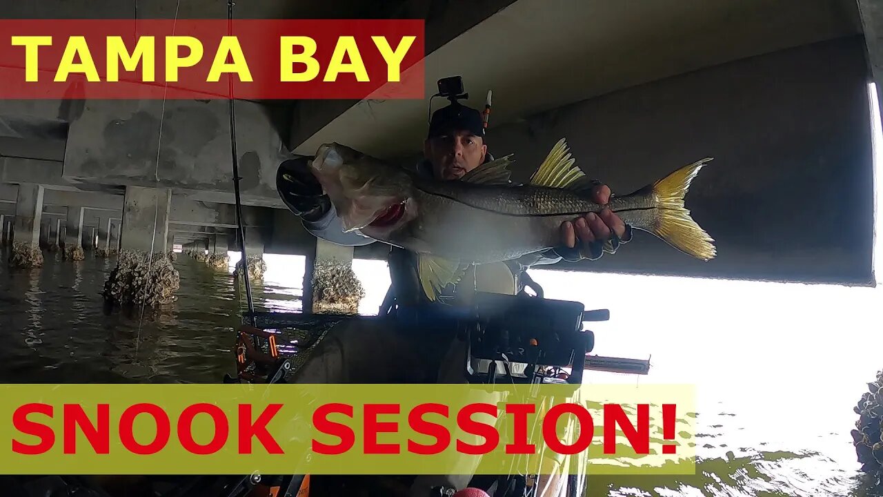 Catching PB SNOOK With SLAM SHADY 2.0 Paddle Tail In Tampa Bay With My Old Town BigWater 132 PDL