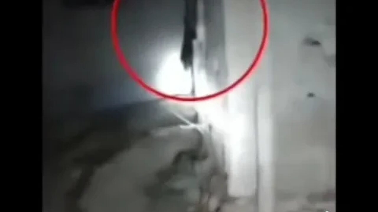 The Evil Within 😈