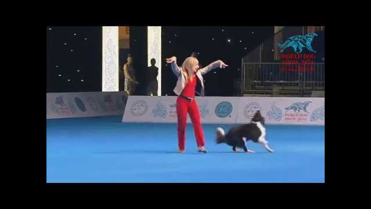 FCI Dog dance World Championship 2016 – Winner freestyle