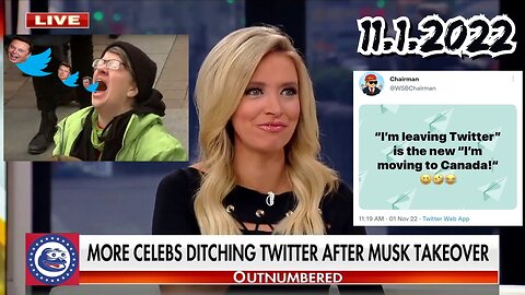 Kayleigh McEnany shares her favorite lib meltdowns over Elon Musk