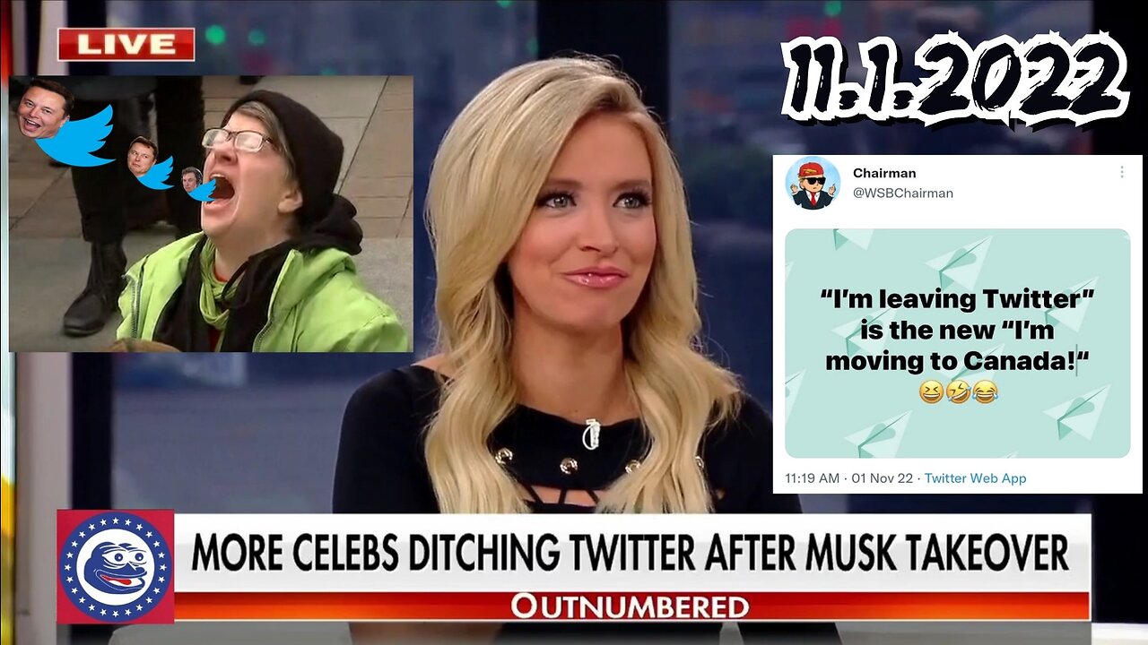 Kayleigh McEnany shares her favorite lib meltdowns over Elon Musk