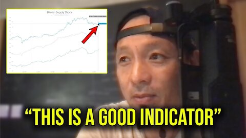 Willy Woo: "We're in a Bullish Price Action Phase"
