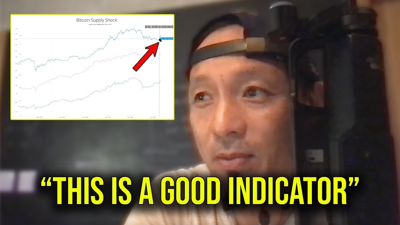 Willy Woo: "We're in a Bullish Price Action Phase"