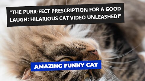 CATS you will remember and LAUGH all day! 😂Funny Cats Videos 2023