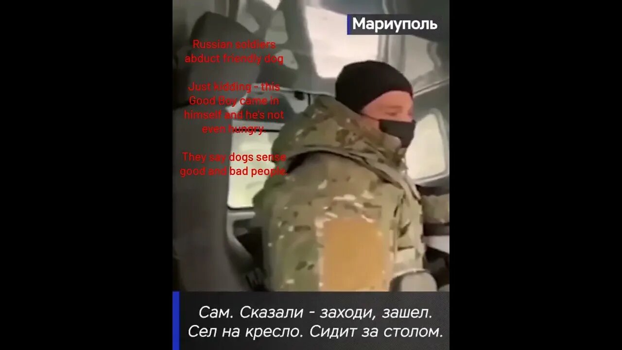 Russian Soldiers Abduct Friendly Dog, Just Kidding - This Good Boy Came In Himself!