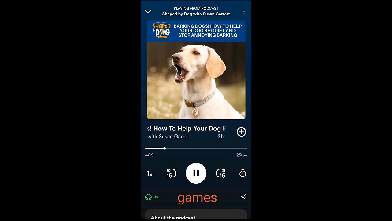 Dog Training games