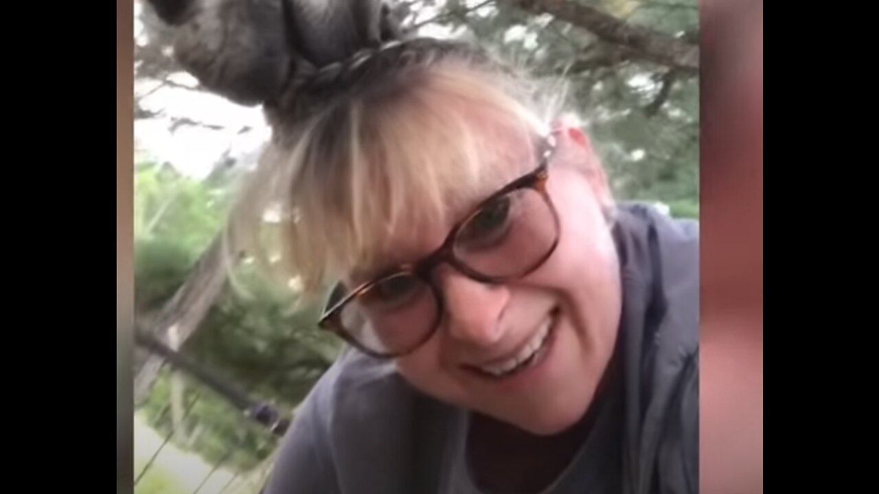 Funny Fails 2022! Try Not To Laugh!