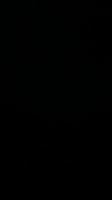 Donald Trump road trip