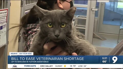 Veterinarian shortage could be curbed with new bill