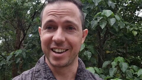 Who Wants To Log Out? (Video Journal)