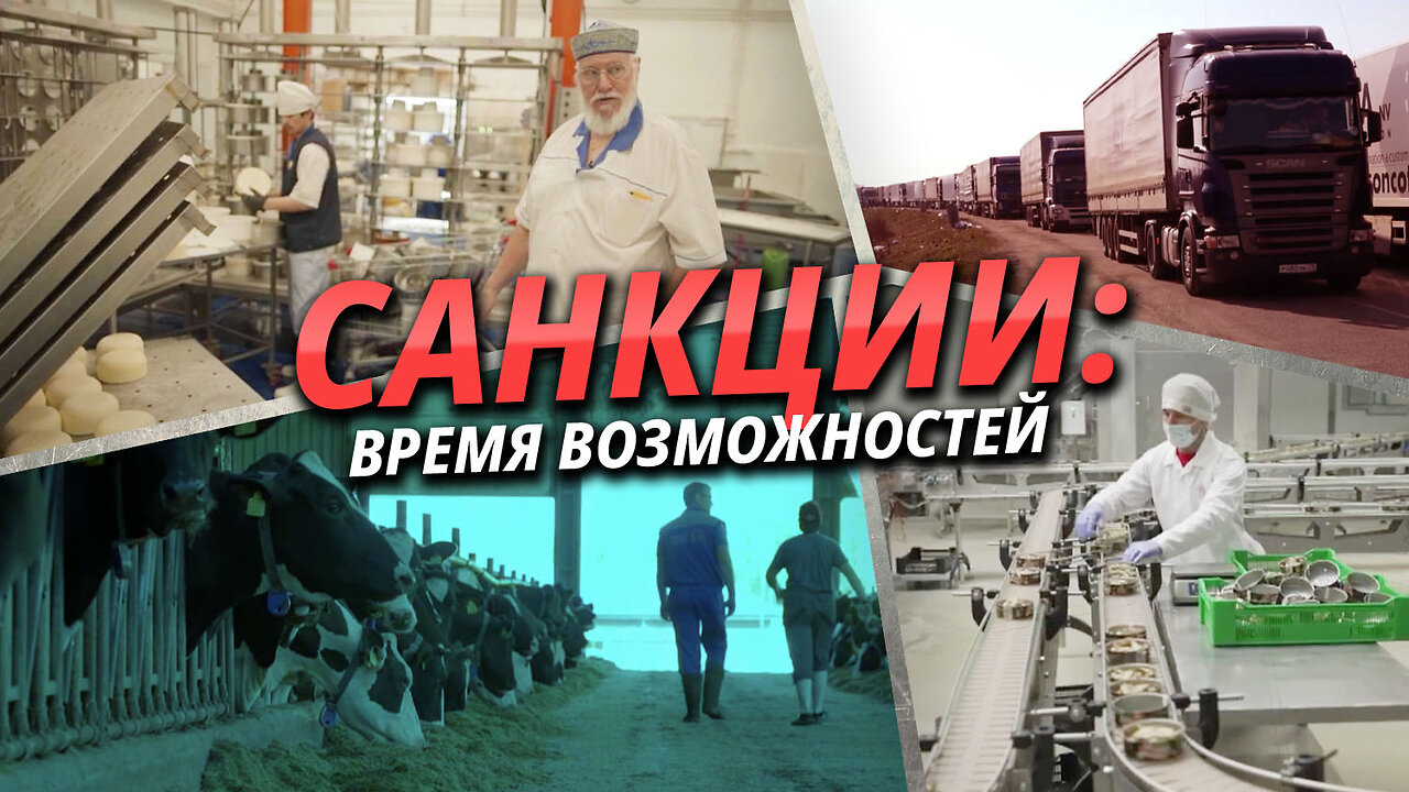 Санкции: время возможностей