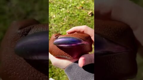 viral trending shorts video for Entertain Your Mood #shorts #trending #viral #youtube #blackshorts