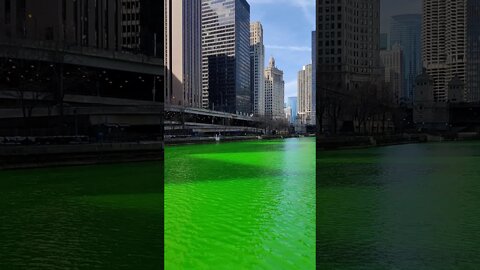 Chicago River dyed green ahead of St. Patrick's Day! 3/13/21 #shorts