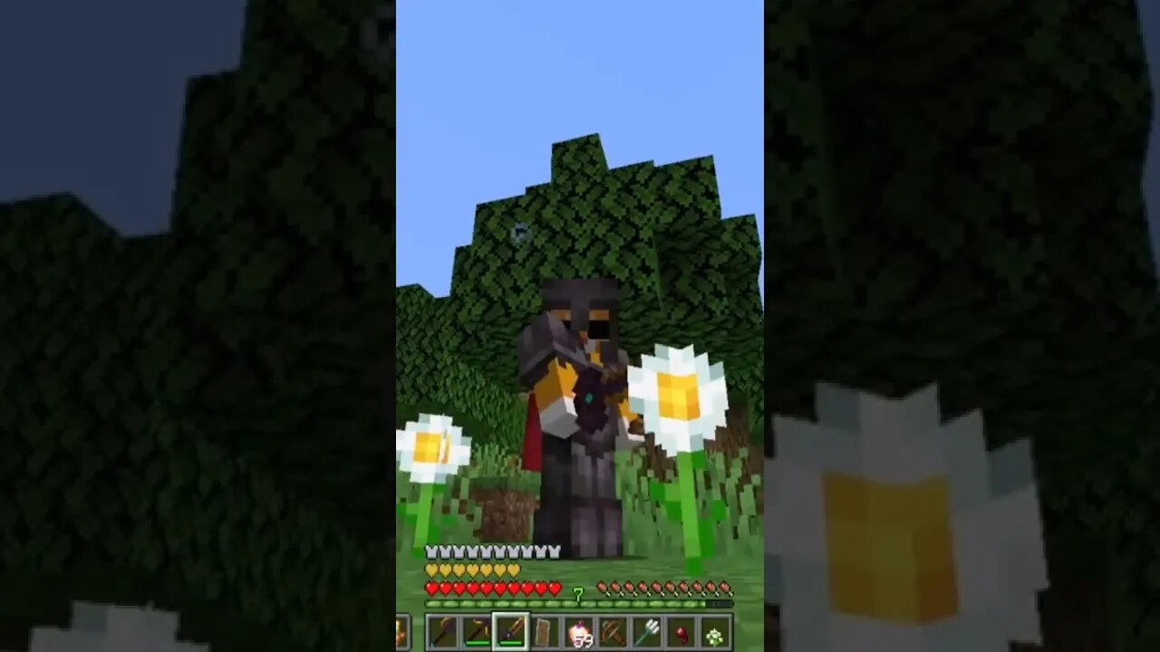 Lá estava eu para começar a gravar um vídeo #minecraft #herobrine #shorts