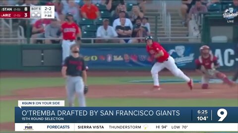 Another Wildcat Baseball player drafted into MLB